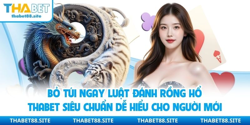 Bỏ túi ngay luật đánh rồng hổ Thabet siêu chuẩn dễ hiểu cho người mới