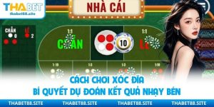 Cách Chơi Xóc Đĩa - Bí Quyết Dự Đoán Kết Quả Nhạy Bén