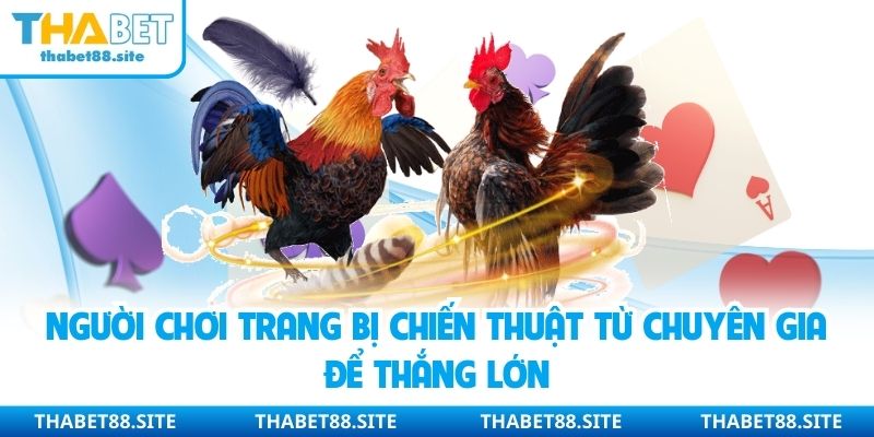 Người chơi trang bị chiến thuật từ chuyên gia để thắng lớn