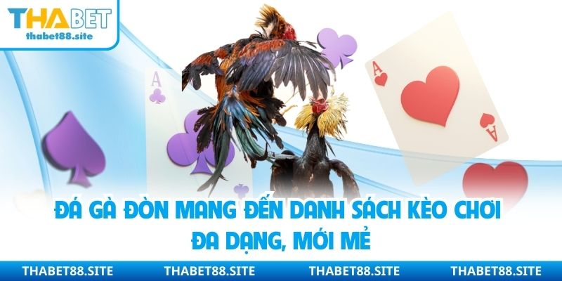 Đá gà đòn mang đến danh sách kèo chơi đa dạng, mới mẻ