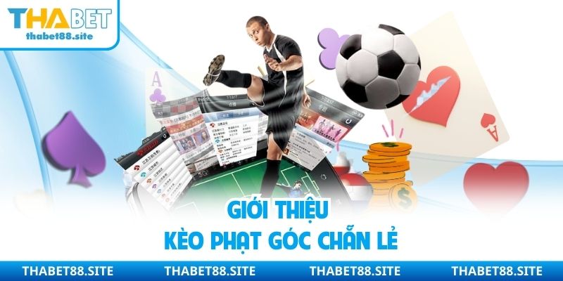 Giới thiệu kèo phạt góc chẵn lẻ