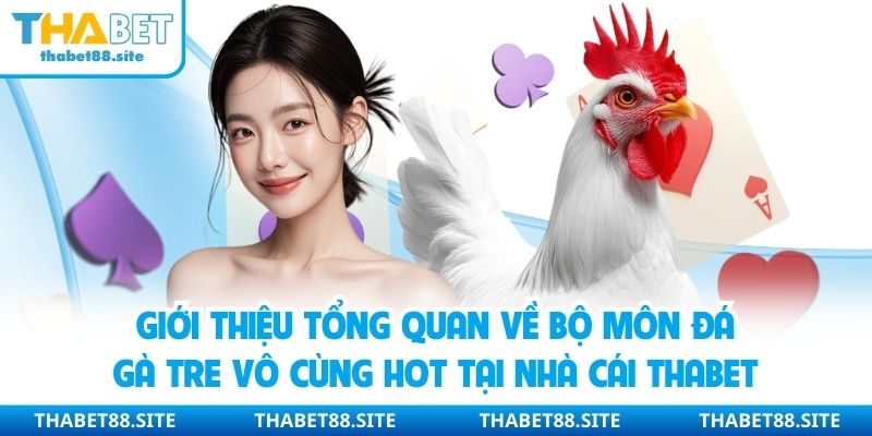 Giới thiệu tổng quan về bộ môn đá gà tre vô cùng hot tại nhà cái Thabet