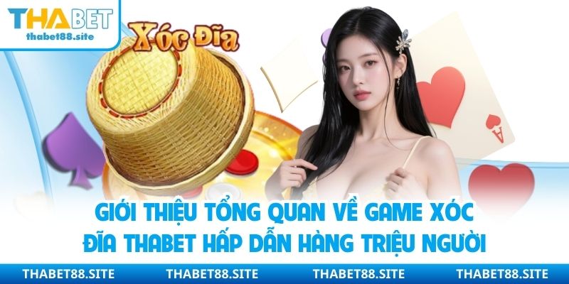 Giới thiệu tổng quan về game xóc đĩa Thabet hấp dẫn hàng triệu người