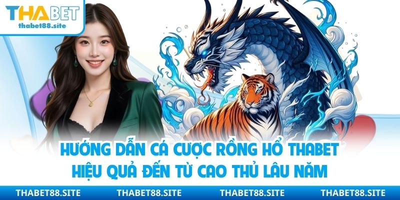 Hướng dẫn cá cược rồng hổ Thabet hiệu quả đến từ cao thủ lâu năm