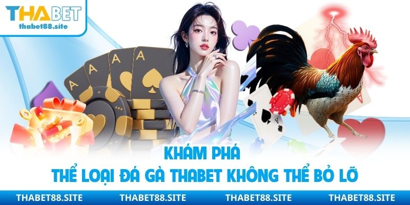 Khám phá thể loại đá gà Thabet không thể bỏ lỡ