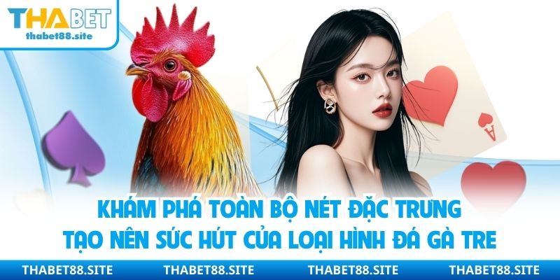 Khám phá toàn bộ nét đặc trưng tạo nên sức hút của loại hình đá gà tre