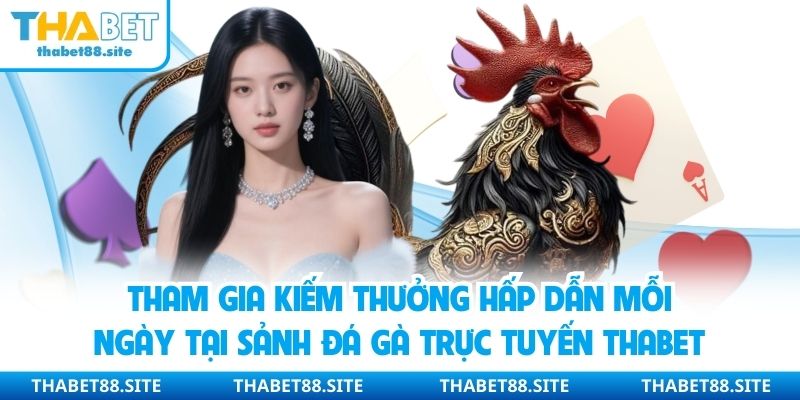Tham gia kiếm thưởng hấp dẫn mỗi ngày tại sảnh đá gà trực tuyến Thabet