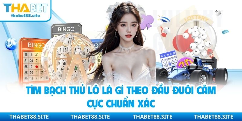 Tìm bạch thủ lô là gì theo đầu đuôi câm cực chuẩn xác
